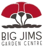 Big Jims