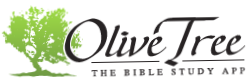 Olive Tree