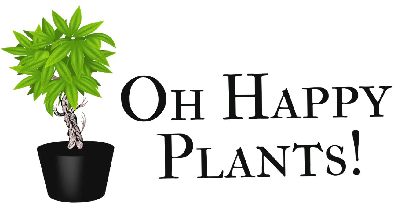 Oh Happy Plants