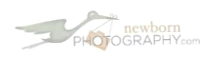 Newborn Photography