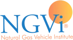 Ngvi