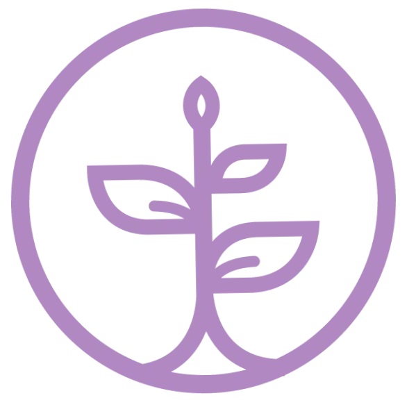 Personal Development School