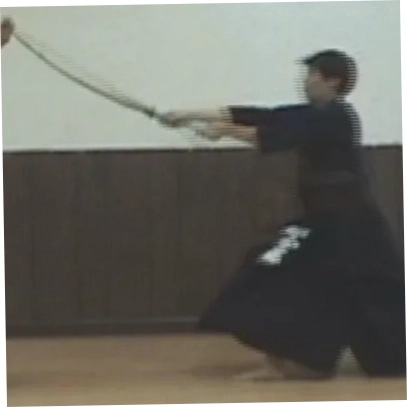 kendo guide