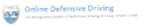Texas Online Defensive Driving