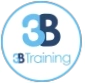 3B Training