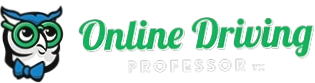 Online Driving Professor