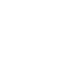 Script Anatomy