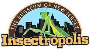 Insectropolis
