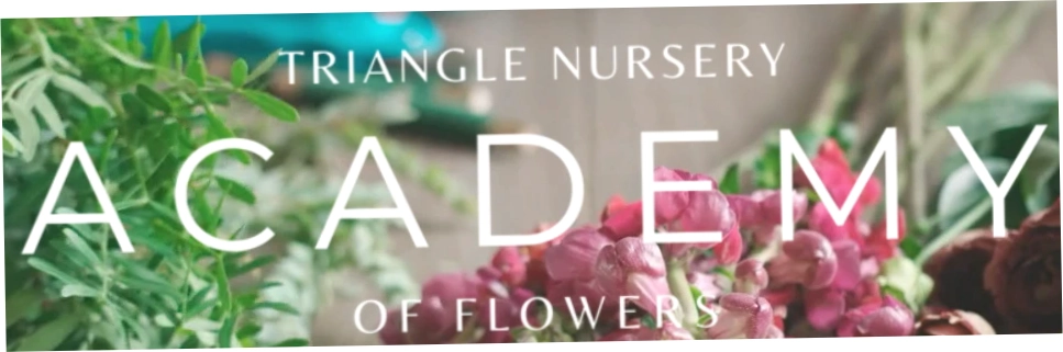 Triangle Flowers