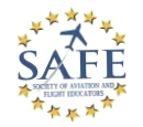 Safe Pilot
