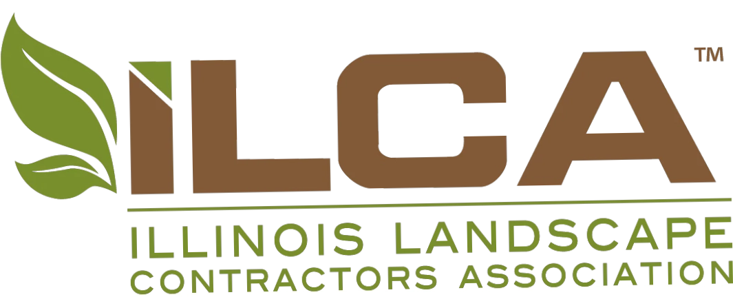 ILCA