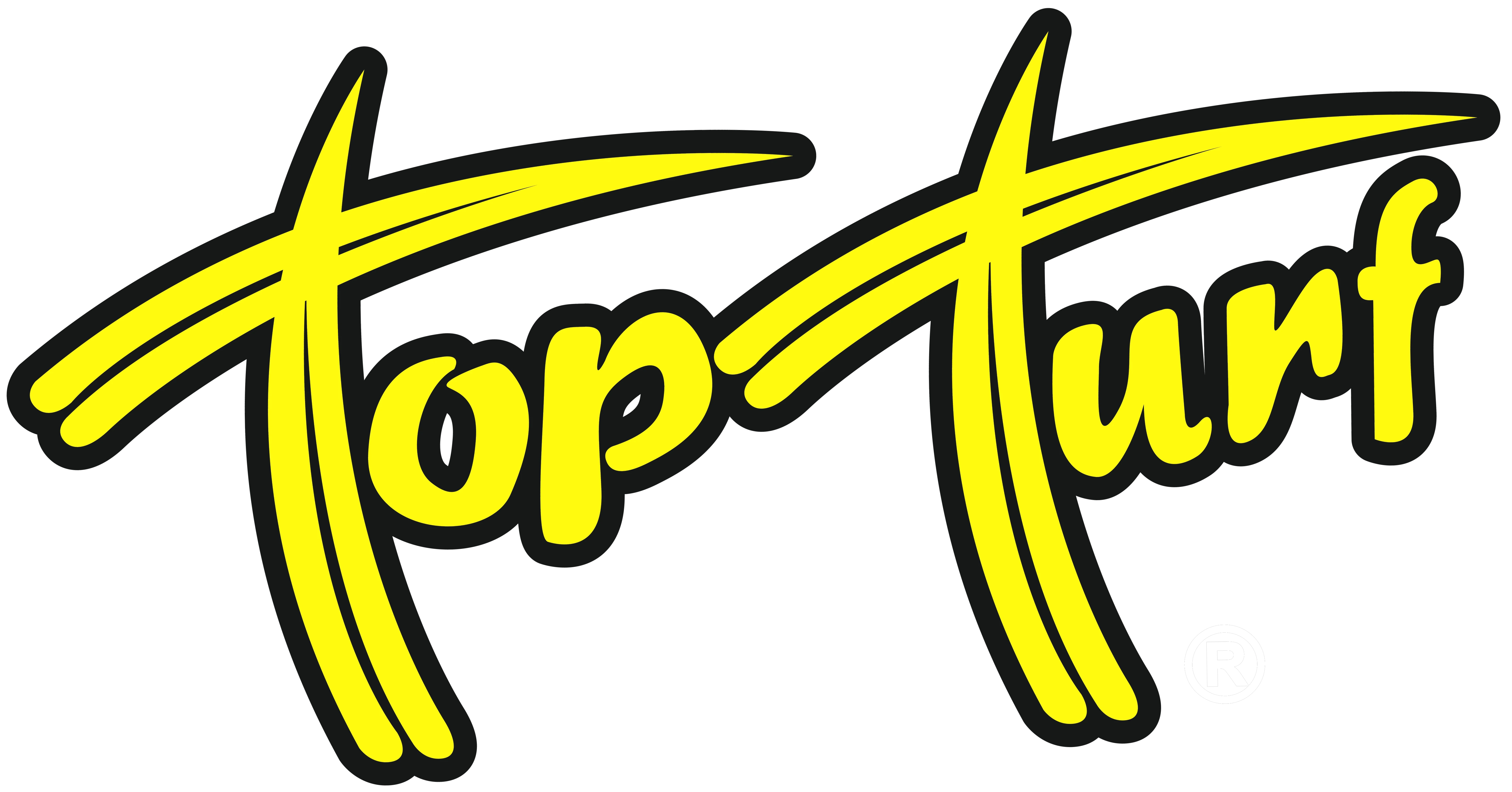 Top Turf