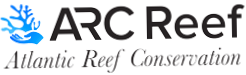 ARC Reef