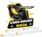 CSGOSmurfNinja