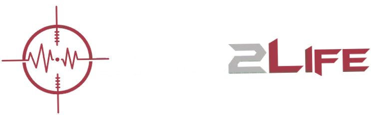 Game2Life