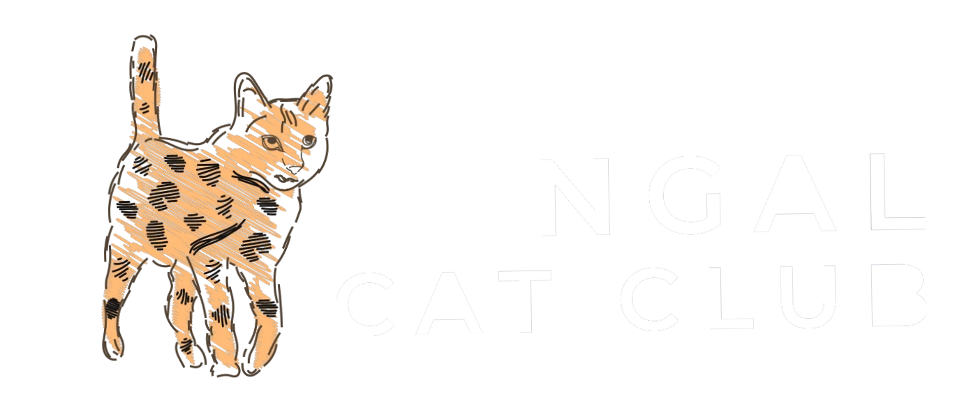 Bengal Cat Club