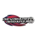 Beyblade Bonanza