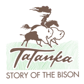 Story of the Bison