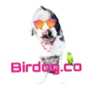Birdog
