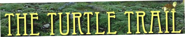 Turtle Trail