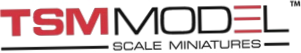 TSM Model