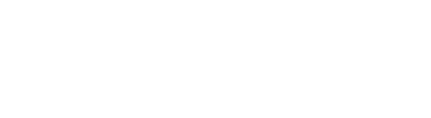 Max International
