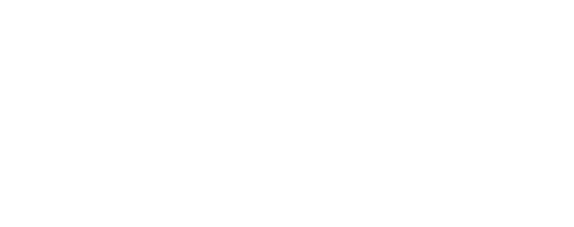 Echometer