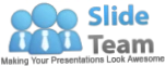 Slide Team