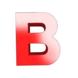 BulkyFans
