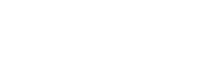 Iconicwp
