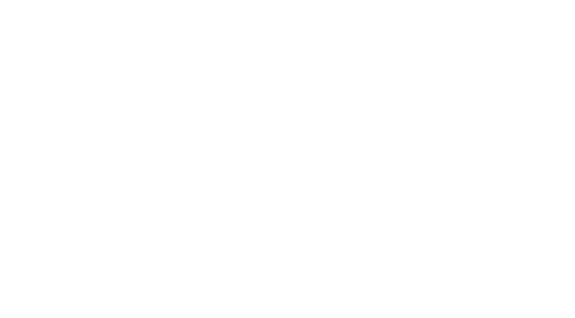 Fspro