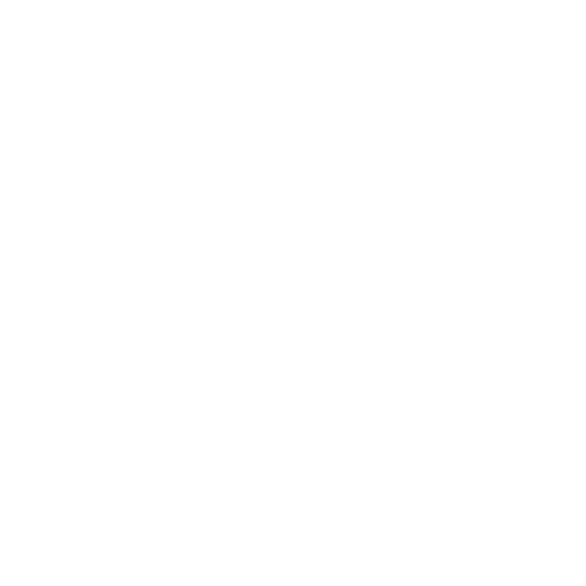 FoneDog