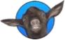 Goat Store