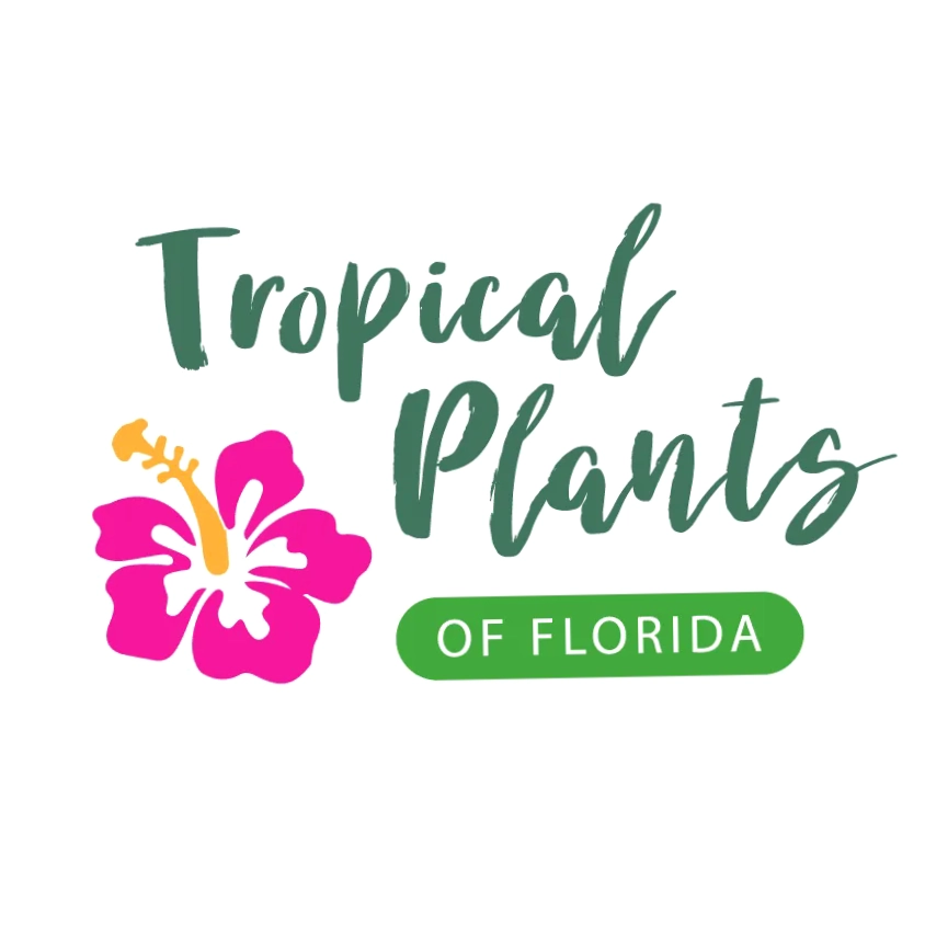 Tropical Plants Of Florida