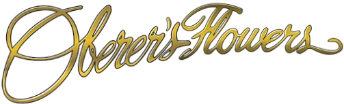 Oberer'S