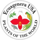 Ecuagenera US