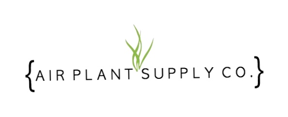 Air Plant Supply