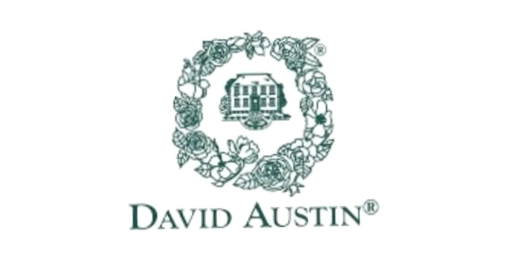 David Austin