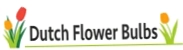 Dutch Flower Bulbs