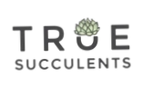 True Succulents