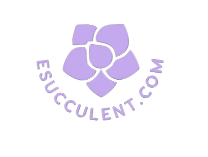 Esucculent