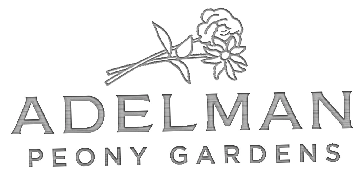 Adelman Peony Gardens