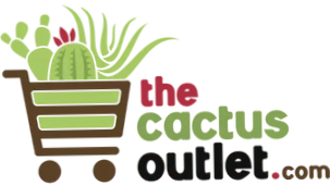 Cactus Outlet
