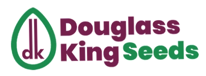 Dk Seeds