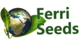 Ferri Seeds