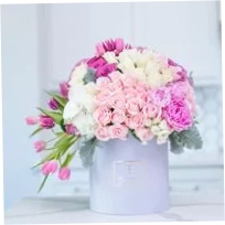 Bloom and Box Flowers