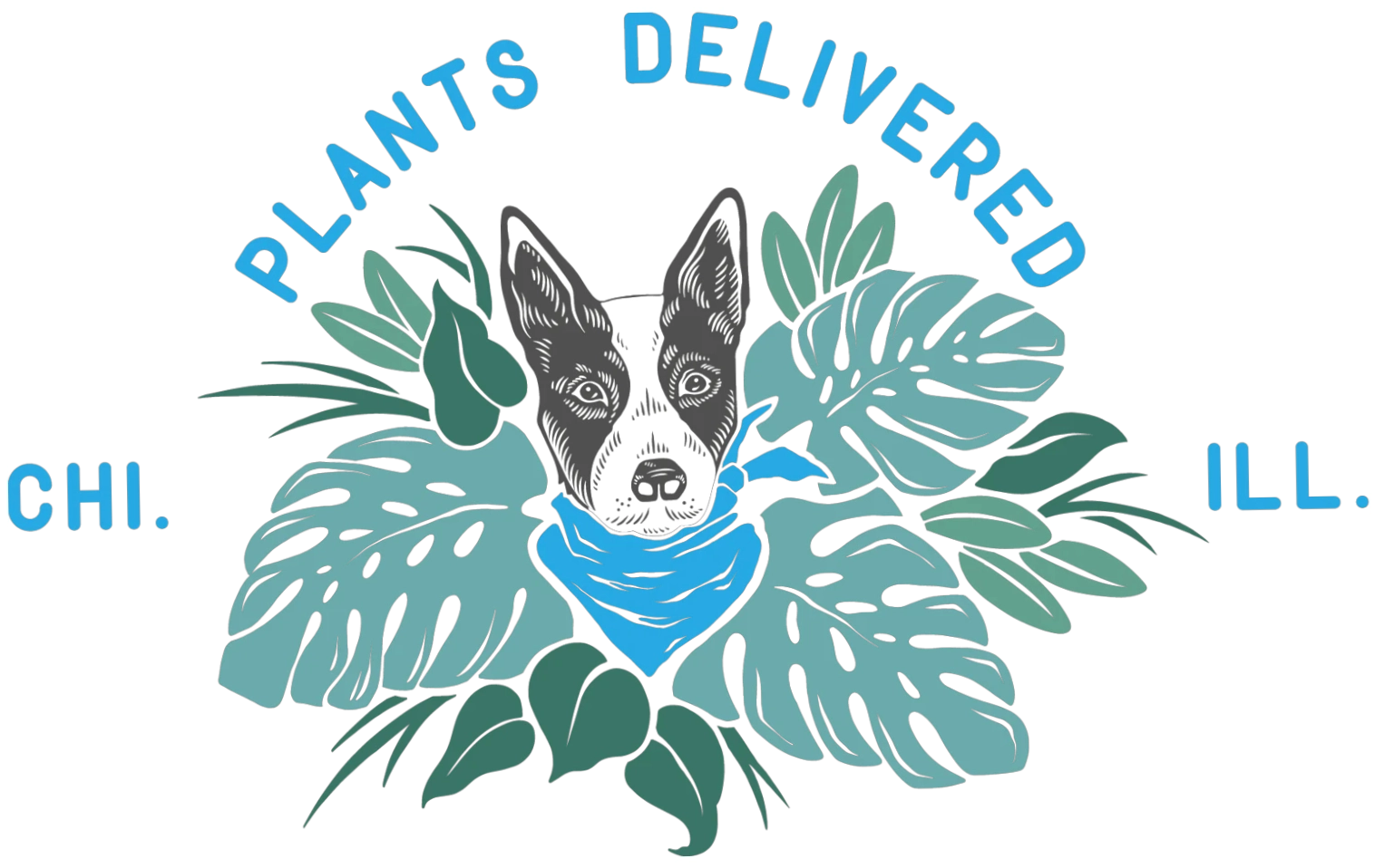 Plants Delivered Chicago