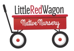 Little Red Wagon Native Nursery