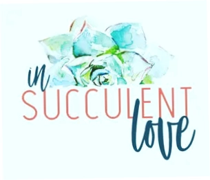 In Succulent Love
