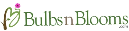 Bulbsnblooms